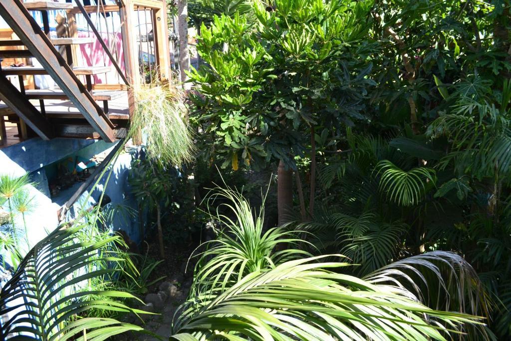 El Porvenir Hostel Los Llanos De Aridane Ngoại thất bức ảnh